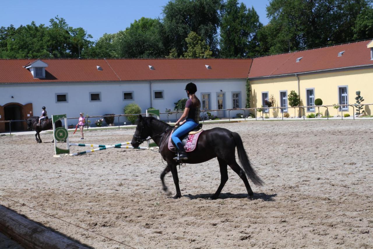 Wellness A Relax Centrum Palarikovo Zewnętrze zdjęcie